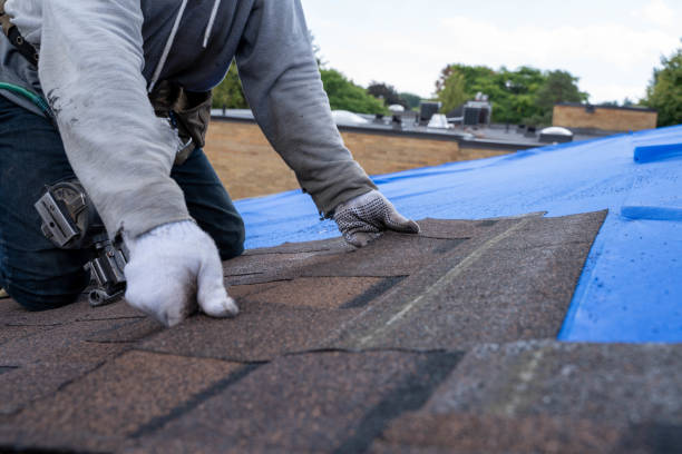 Best Roof Restoration Services  in Twin Lake, MI